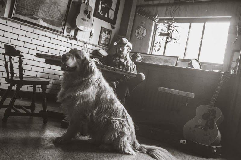 the Dugout tavern - photo 6