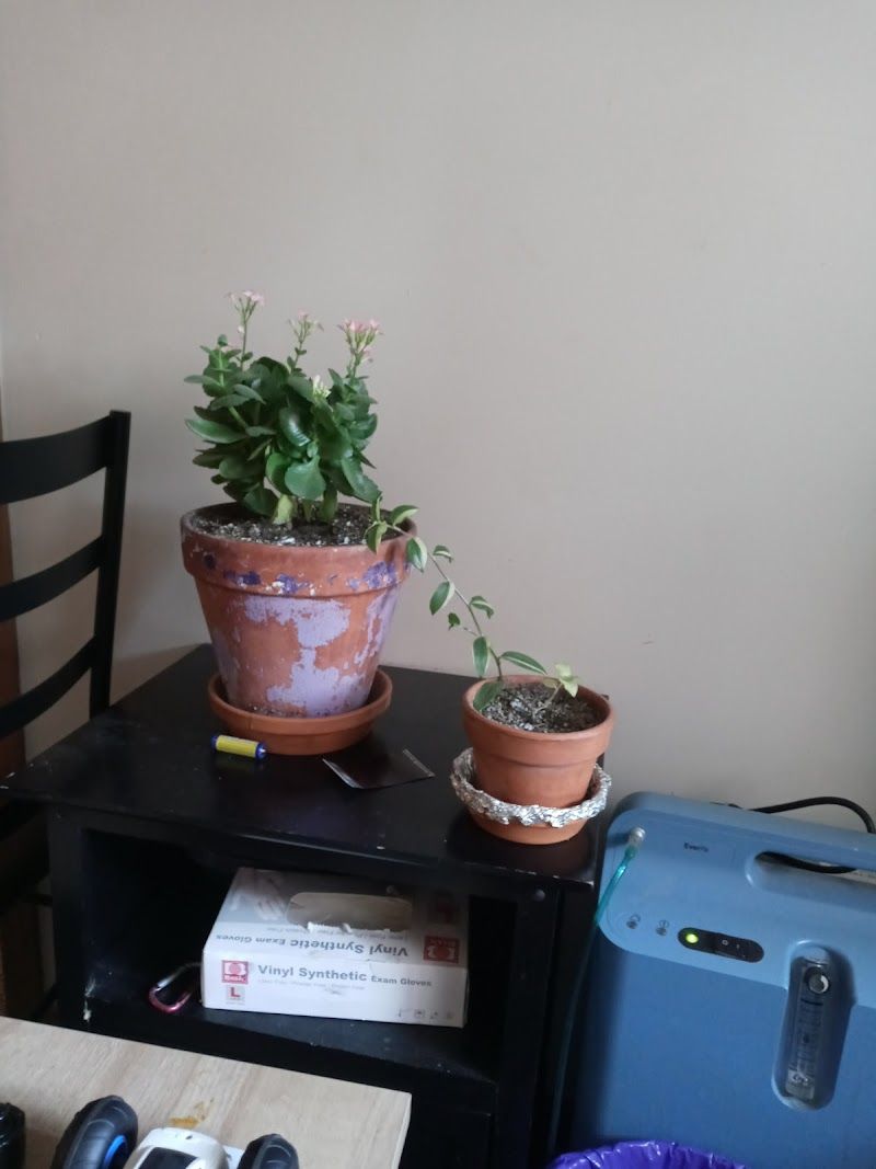 Lucky Cuts - photo 4