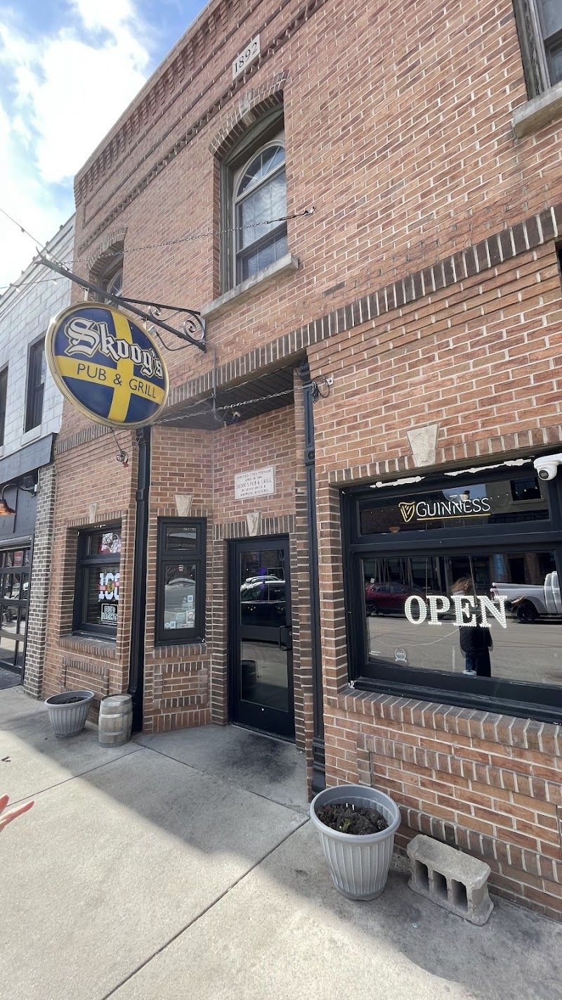 Skoog's Pub & Grill - photo 6